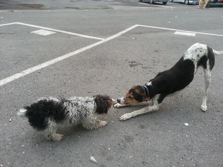 Androidografia Barakaldo 1405