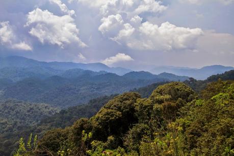 Lago Kivu y Parque Nacional de Nyungwe