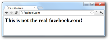 Que es el Envenenamiento del Cache DNS?