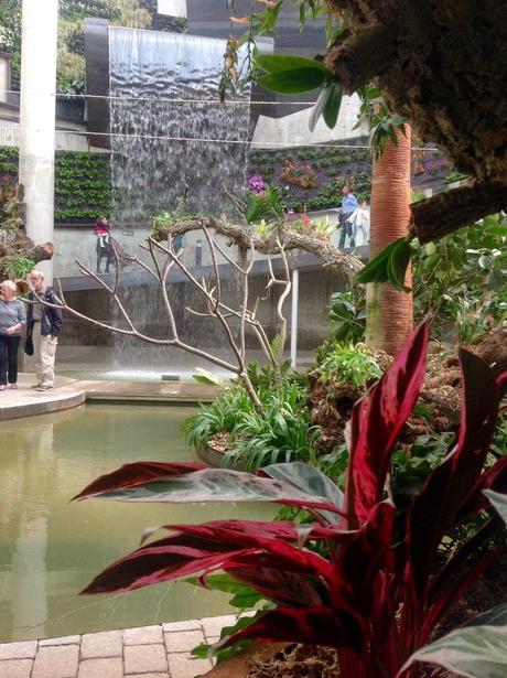 El Jardín Botánico-Orquidario de Estepona