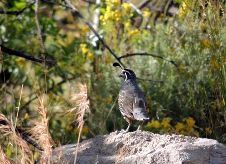 Lo mejor de Galería Fotográfica de Argentina: los 10 artículos más leídos en el mes de Marzo de 2015.