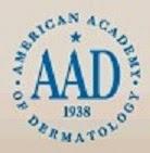 CONFERENCIA EN LA ACADEMIA AMERICANA (3): AVANCES EN LA INYECCIÓN DE RELLENOS