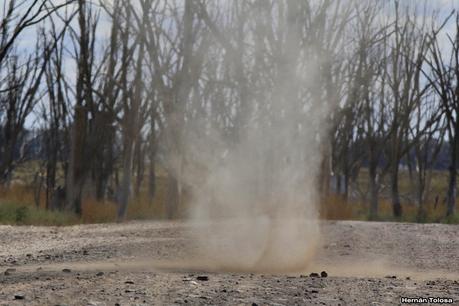 Enormes bandadas en laguna Epecuén