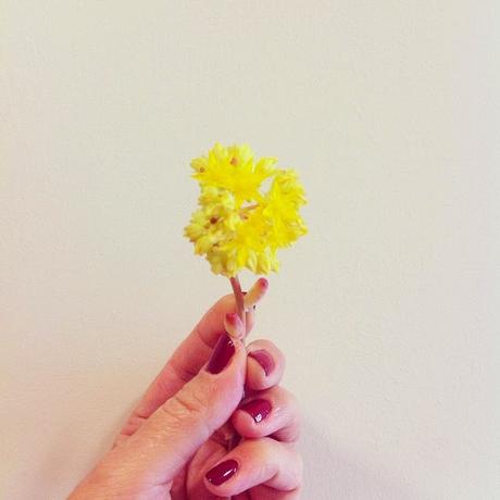 Vacaciones de Pascua en Instagram - My Easter holidays on Instagram