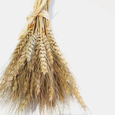 Vacaciones de Pascua en Instagram - My Easter holidays on Instagram