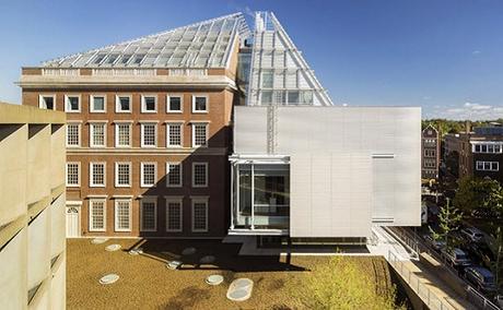 Diálogo diáfano Harvard Art Museum TECNNE