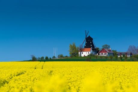 Malmo, suecia en primavera