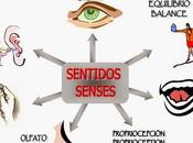 Relación entre Percepción Cognición