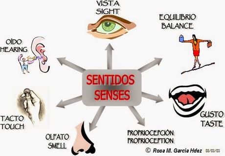 Relación entre Percepción y Cognición