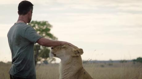 Una marca de prótesis dentales devuelve la dentadura a un león #savingaslan