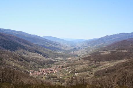 Desintosicar es posible con los cerezos en flor
