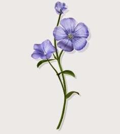 El Tratamiento sin aclarado a las fibras de Lino de KLORANE – aporta volumen y textura al cabello fino El Tratamiento sin aclarado a las fibras de Lino de KLORANE – aporta volumen y textura al cabello fino