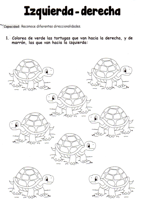 Izquierda – derecha: 5 años