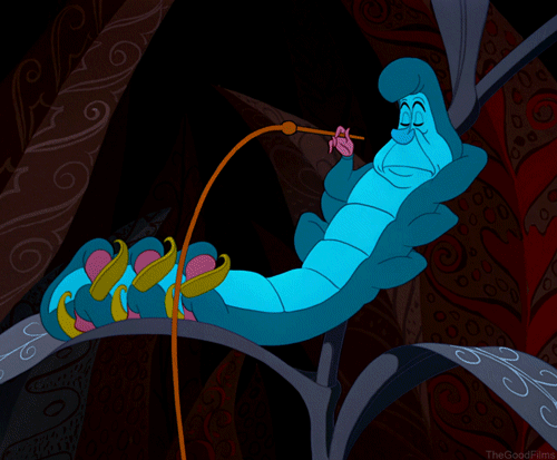 La Guerra de los Espejos