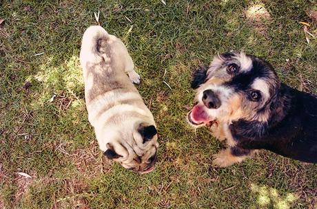 las-tres-mejores-cosas-que-he-hecho3