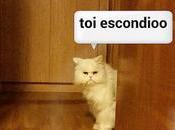 Estamos Agustito LXXXIX... Escondio