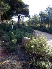 Deslinde del término de Retiendas de los pueblos vecinos II 150408 Deslinde Puebla