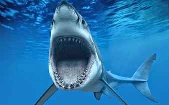 Tiburón hambriento atacando