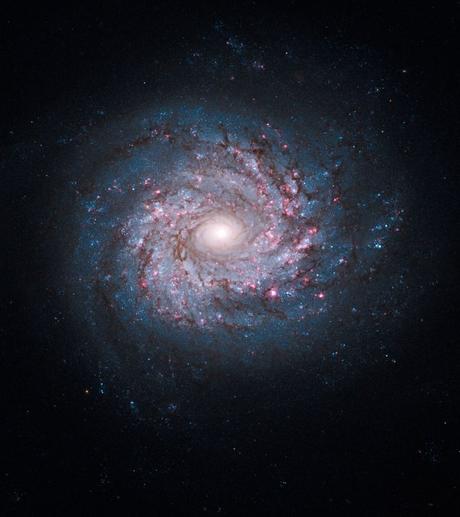 Nacimiento de estrellas en NGC 3982