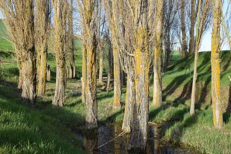 spring long printed dress denim jacket seventies street style