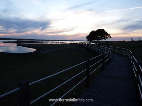 Patrón de barco en el Alentejo Atardecer en Aldeia da Luz