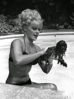 Miércoles Palomitero al solin