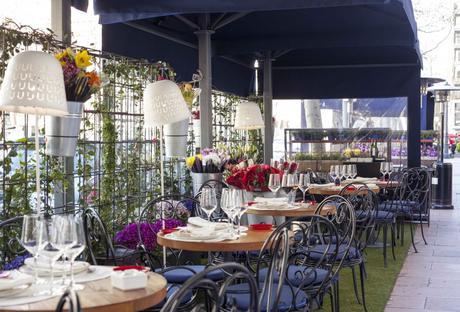 Engordar en Velázquez TERRAZA