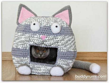 7 DIY para gatos