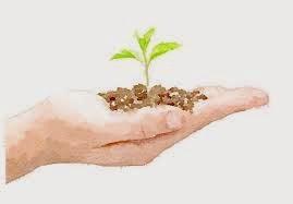 Guía (de ayudas y subvenciones) para Emprendedores