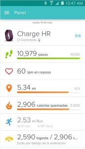 Fitbit Registro de actividad