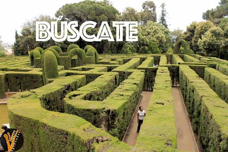 buscate