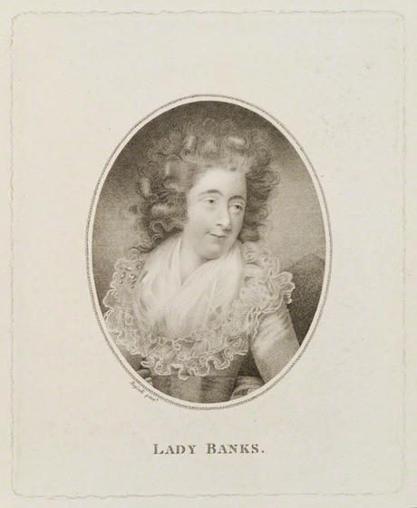 Lady Banks & Co.