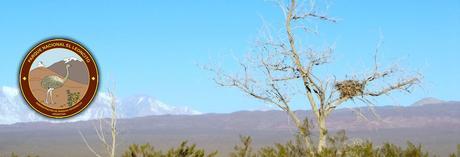 Parque Nacional El Leoncito, en pleno corazón de la sierra del Tontal, un verdadero oasis sobre el desierto sanjuanino.