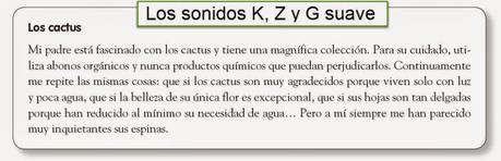 DICTADO 2 k z cactus