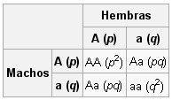 Ley de Hardy-Weinmberg