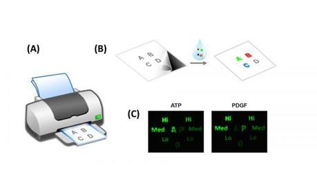 Pronto podrías imprimir tus propios tests médicos con una impresora y esta tinta especial Pronto podrías imprimir tus propios tests médicos con una impresora y esta tinta especial