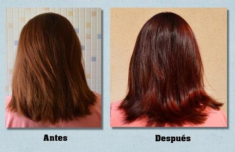 Un color vibrante, luminoso y brillante con “PALETTE Perfect Gloss Color” de SCHWARZKOPF