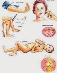 La protección de una madre llega a extremos inimaginables.