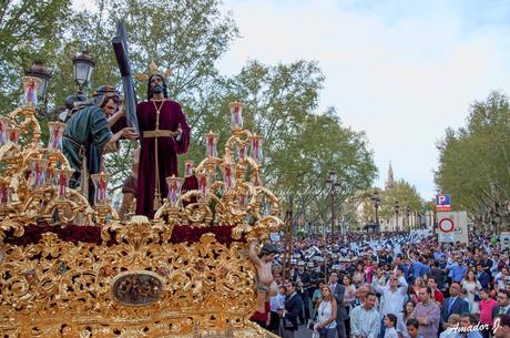 Domingo de Ramos 2015: Hdad. de la Paz de Sevilla