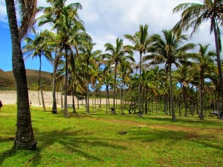 Playa de Anakena. Rapa Nui Playa de Anakena. Rapa Nui