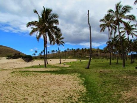 Playa de Anakena. Rapa Nui Playa de Anakena. Rapa Nui