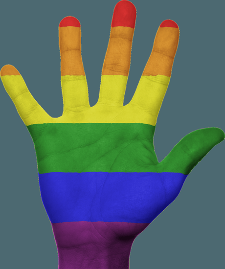 Obama pide la prohibición de las ¨terapias¨ de conversión para homosexuales y trasgénero en adolescentes