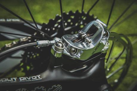 11102718_1008970775799076_6207858400145854061_n