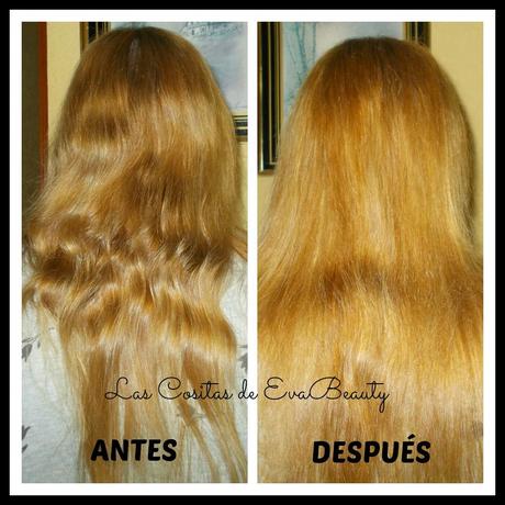 Hoy toca tinte!!!! Gracias a TESTAMUS y Palette Perfect Gloss Color de Schwarzkopf