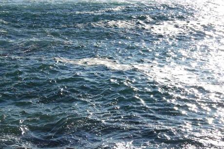 Haikus para una tarde de abril