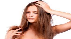 Tipos de cabello / Cabello graso, seco, normal y condición mixta Tipos de cabello / Cabello graso, seco, normal y condición mixta