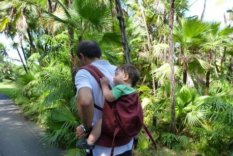 ¿Cuál es la mejor mochila portabebés?