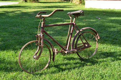 Ternura vintage