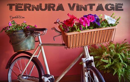 Ternura vintage