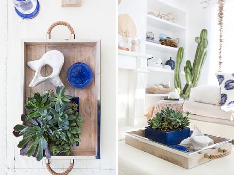 Un lienzo en blanco / A blank canvas